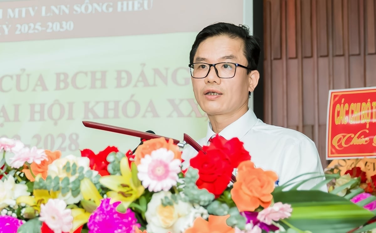 Ông Nguyễn Ngọc Hoàng khẳng định, nền tảng thắng lợi của Công ty TNHH MTV Lâm nông nghiệp Sông Hiếu là bộ giống chất lượng cao. Ảnh: SH.