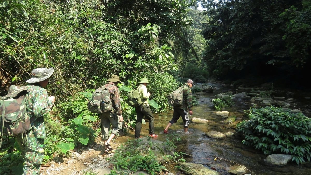 Nhiệm vụ bảo vệ rừng tại Pù Huống rất vất vả, gian nan. Ảnh: PH.