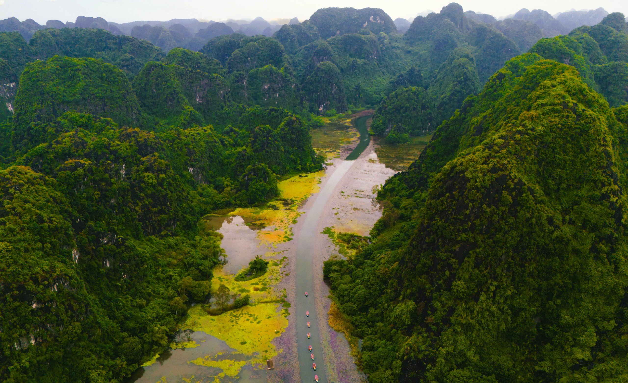 Tam Cốc ngọt lịm mùa hoa súng - Ảnh 3.