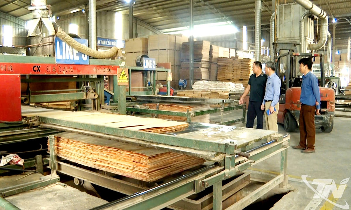 ການເຄື່ອນໄຫວຜະລິດຢູ່ບໍລິສັດຜະລິດ ແລະ ສົ່ງອອກໄມ້ອັດ ຫວຽດນາມ ຈຳກັດ (ສວນອຸດສາຫະກຳ ດ່າຝູກ ເລກ 3).