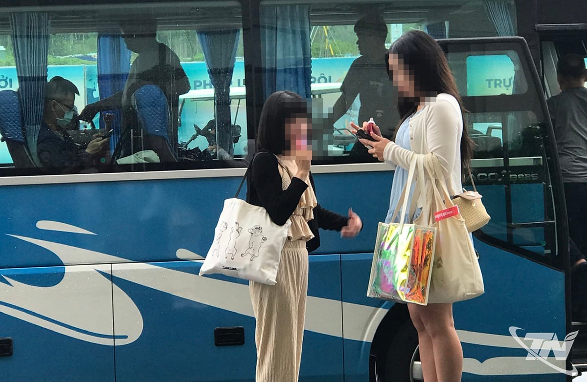 O tabaco aquecido e os cigarros eletrônicos são utilizados por uma parcela dos jovens sem que estes compreendam os seus efeitos nocivos imprevisíveis.