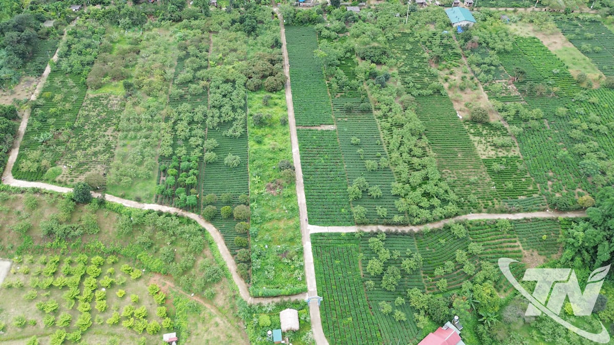 Vista panorámica del pueblo de Phieng An (comuna de Bach Thong) desde arriba.