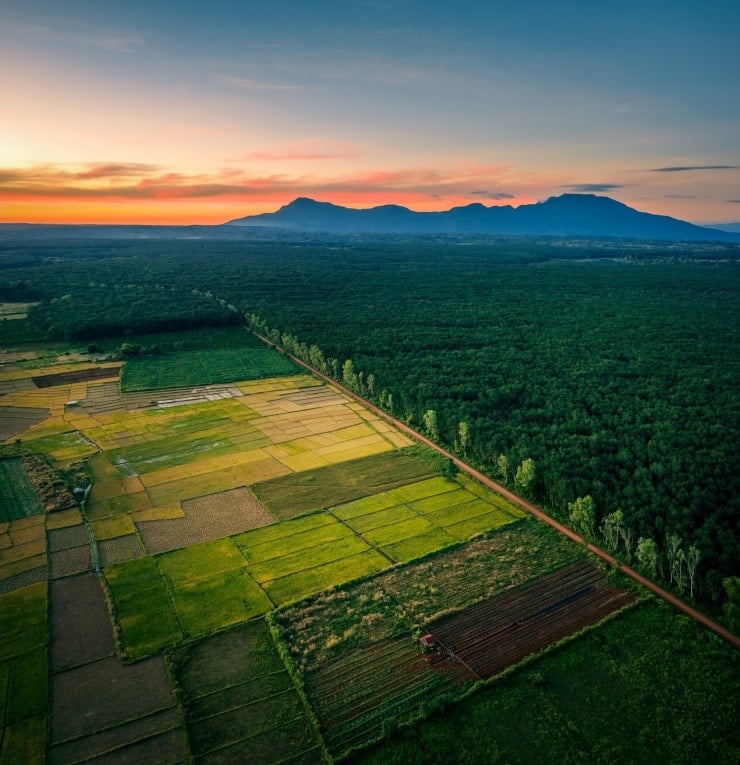 Величне плато Болавен.