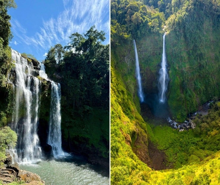 Білі пінисті водоспади в глибокому лісі.