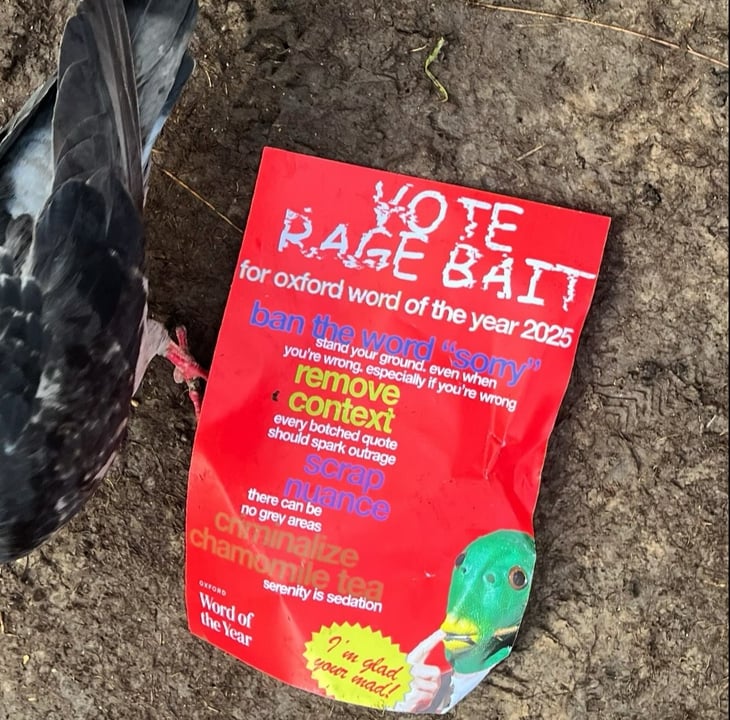 từ của năm - Ảnh 5.