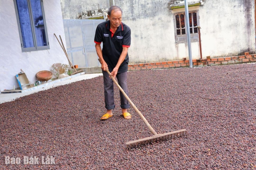 De ijver in de productie van betrouwbare mensen draagt niet alleen bij aan de ontwikkeling van de familieeconomie, maar is ook een effectieve manier om de verantwoordelijkheid voor eerlijk zakendoen en het naleven van de wet in de productie en het bedrijfsleven te verspreiden.