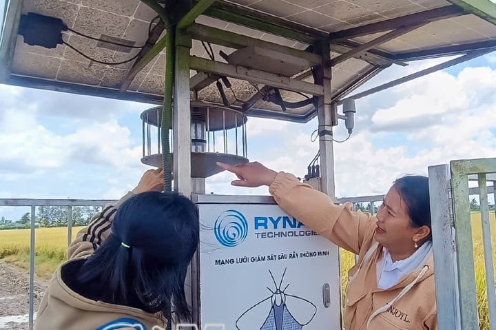 Cà Mau thúc đẩy chuyển đổi số trong công nghiệp và nông nghiệp- Ảnh 2.