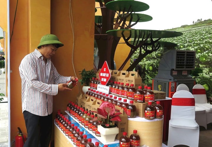 Doanh nghiệp, hợp tác xã Hải Phòng trên hành trình số hóa- Ảnh 1.