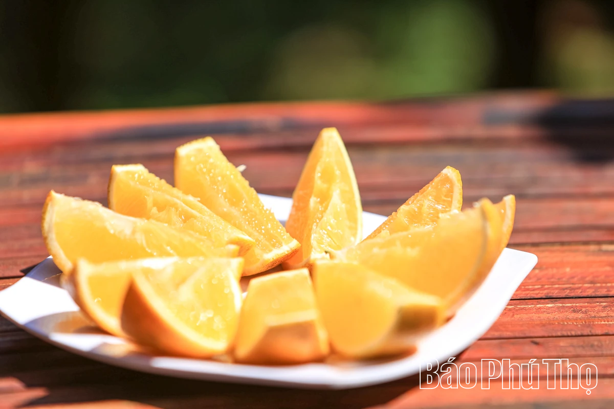 Experience the brilliant orange color of Cao Phong