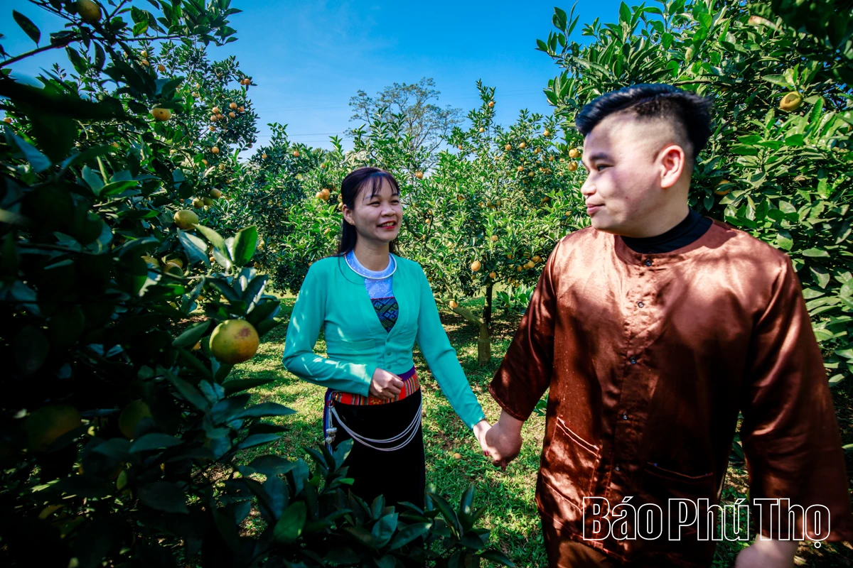 Experience the brilliant orange color of Cao Phong