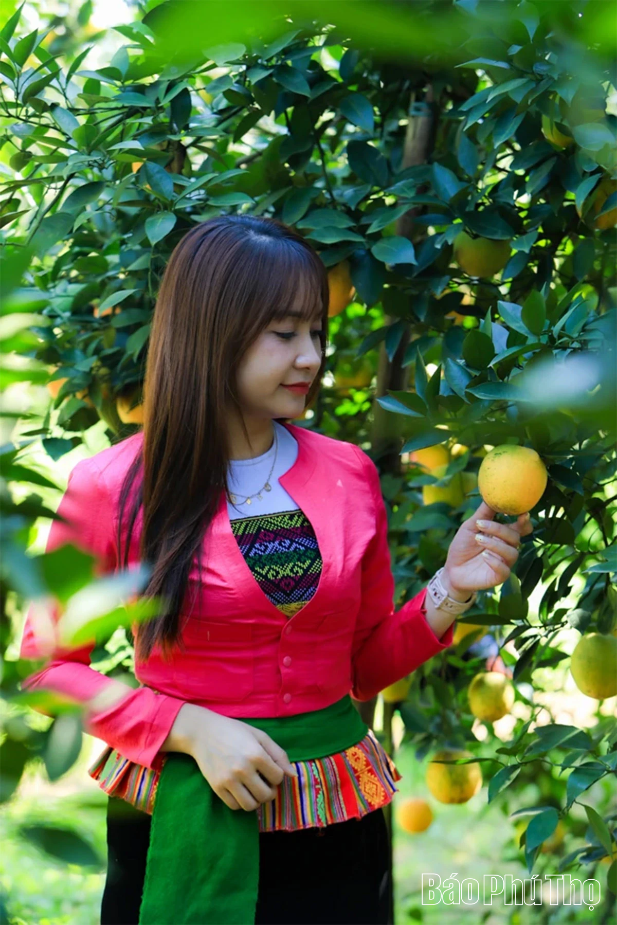 Experience the brilliant orange color of Cao Phong