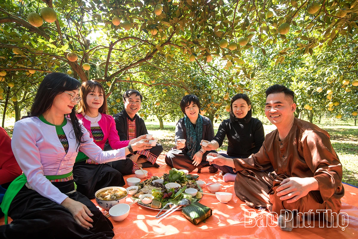 Experience the brilliant orange color of Cao Phong