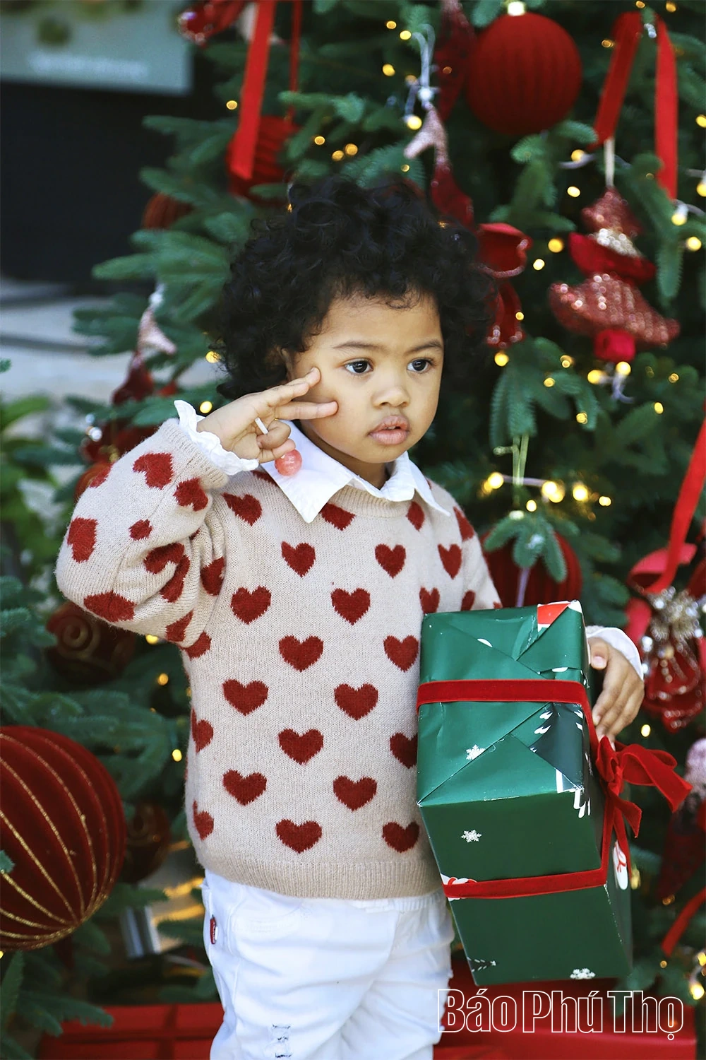 Phu Tho korán kivilágosodik a karácsonyi szezonban