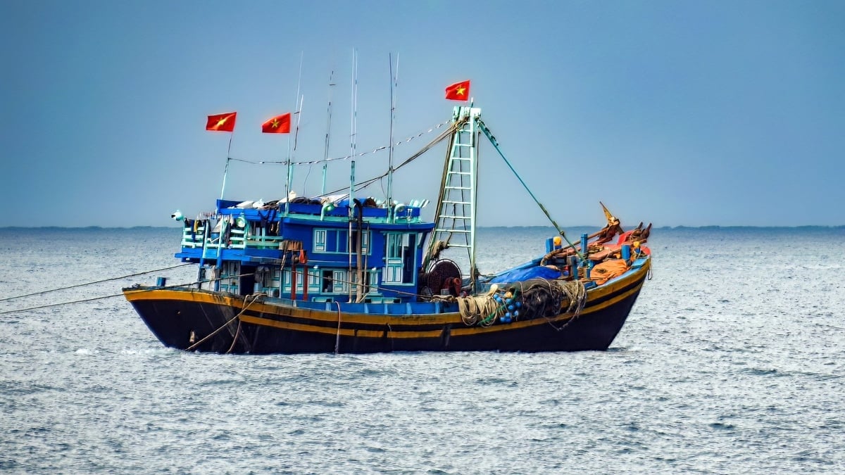 Ứng dụng công nghệ số trong quản lý tàu cá- Ảnh 1.