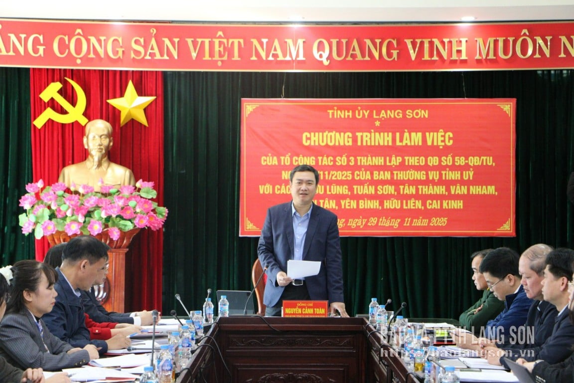 Kamrat Nguyen Canh Toan, biträdande sekreterare för den provinsiella partikommittén och ordförande för den provinsiella folkkommittén, talade vid arbetsmötet.