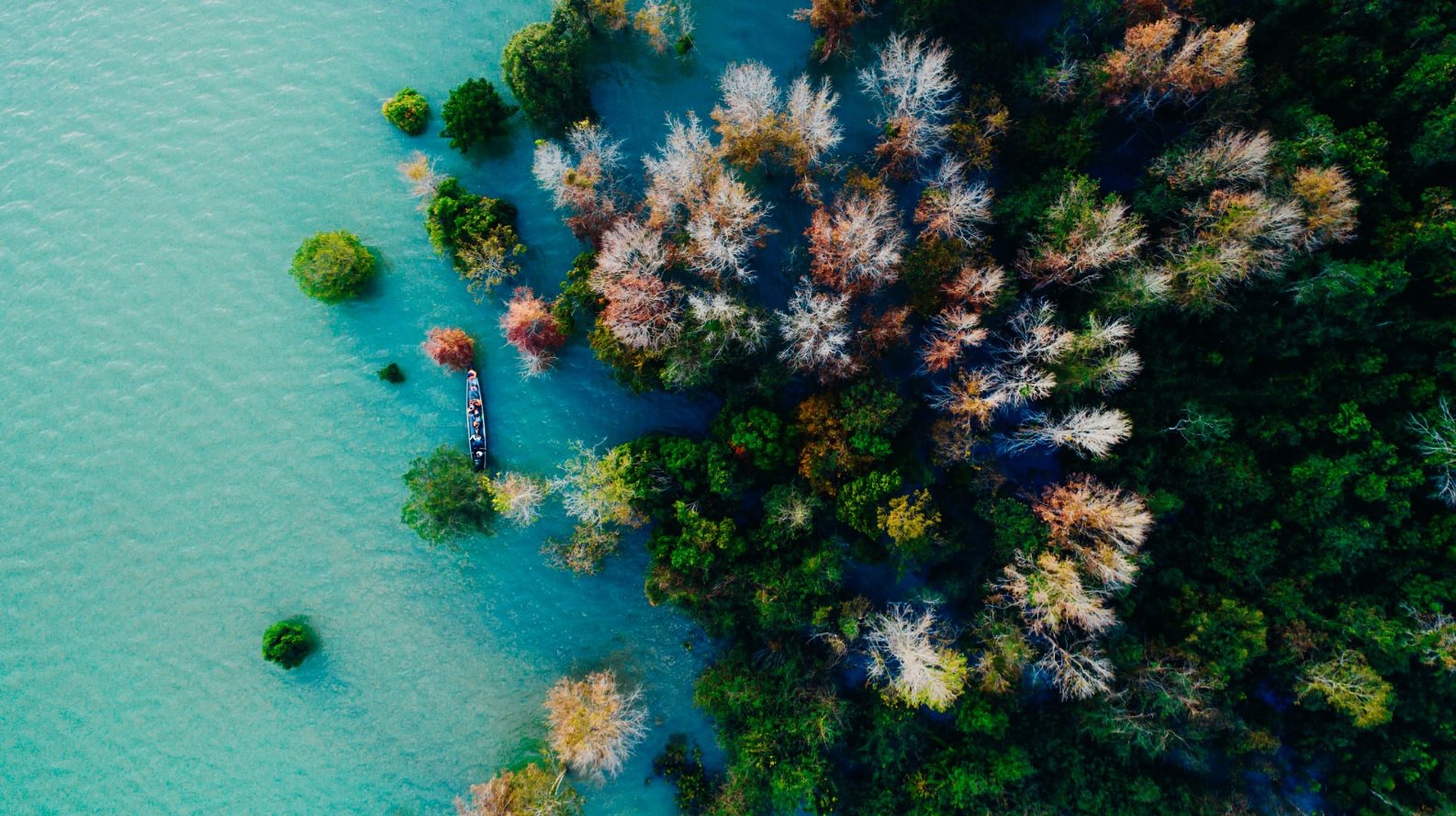 រដូវផ្លាស់ប្តូរស្លឹកឈើនៅភាគខាងលិចខេត្ត Quang Tri - រូបថត ១.