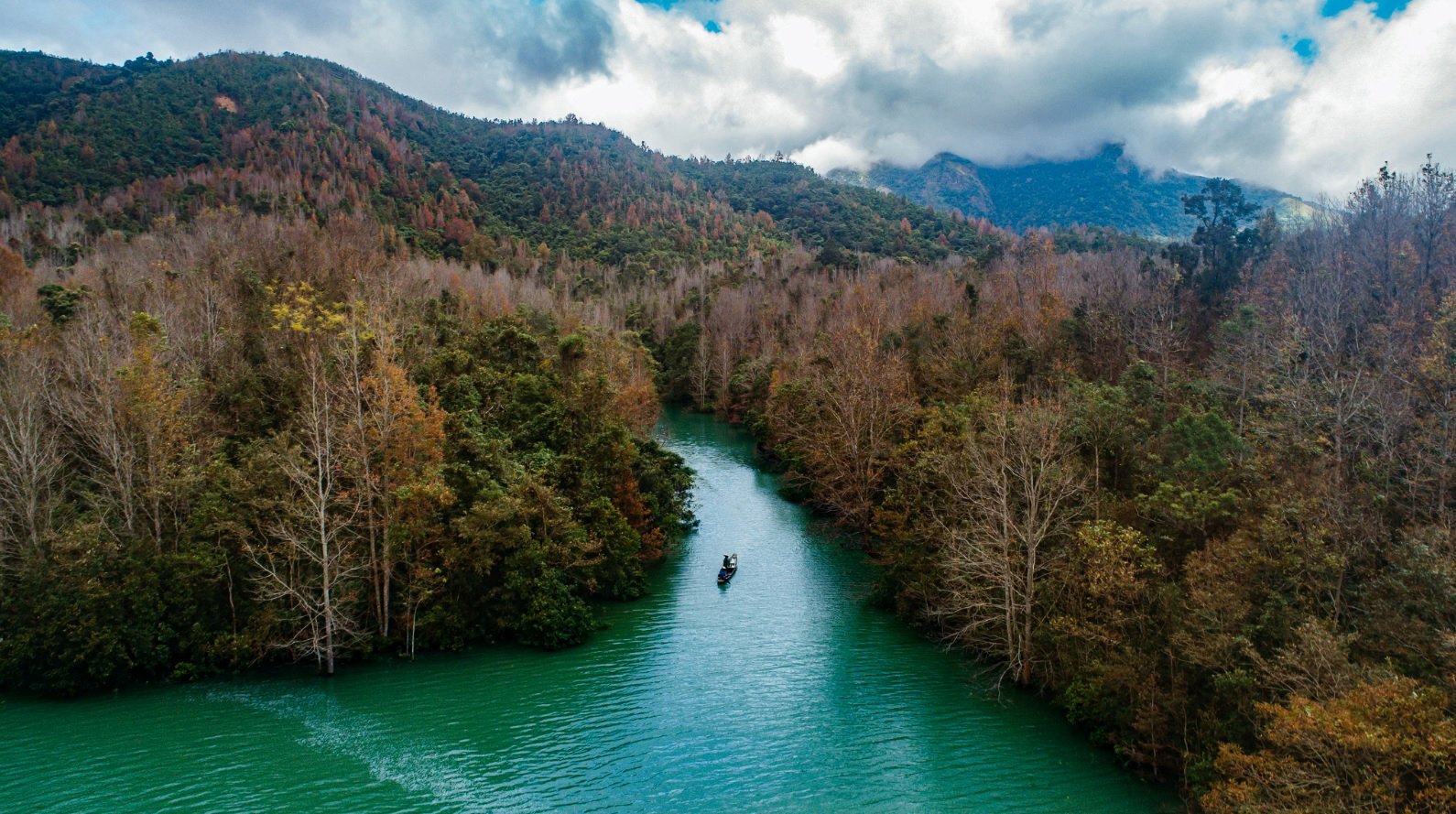 រដូវផ្លាស់ប្តូរស្លឹកឈើនៅភាគខាងលិចខេត្ត Quang Tri - រូបថត ៤.