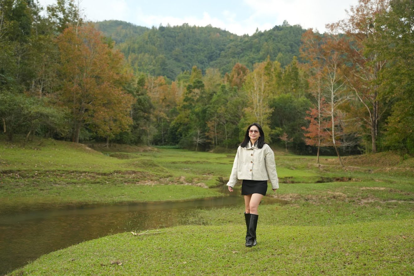 រដូវផ្លាស់ប្តូរស្លឹកឈើនៅភាគខាងលិចខេត្ត Quang Tri - រូបថត ៦.