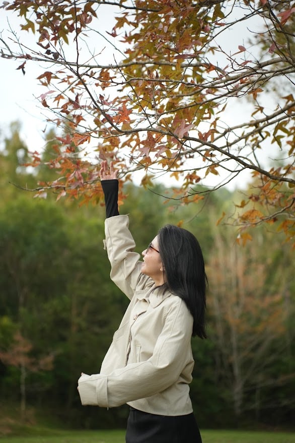រដូវផ្លាស់ប្តូរស្លឹកឈើនៅភាគខាងលិចខេត្ត Quang Tri - រូបថត ៧.