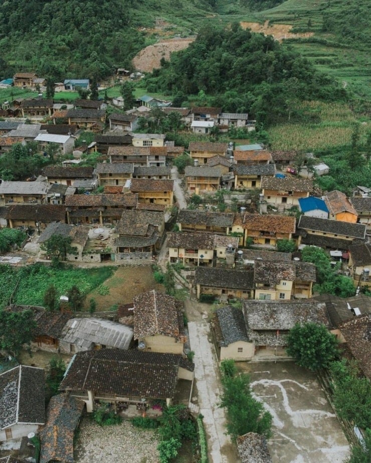 «بدبخت‌ترین» درخت خرمالو در ویتنام، بازدیدکنندگان را برای اقامت به روستای لو لو چای جذب می‌کند.