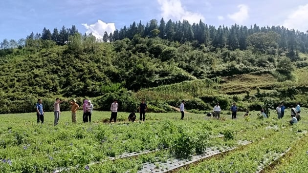 A group of people in a field  AI-generated content may be incorrect.