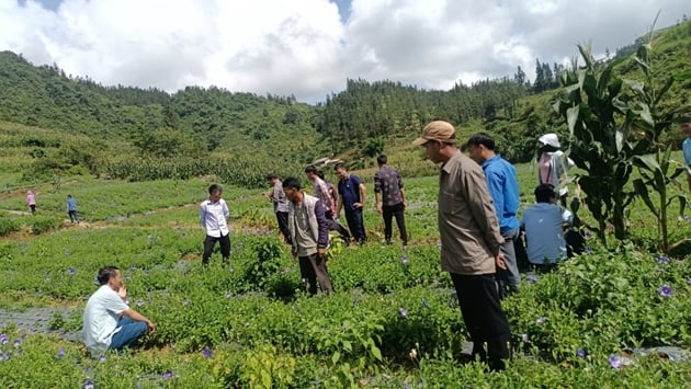 A group of people in a field  AI-generated content may be incorrect.