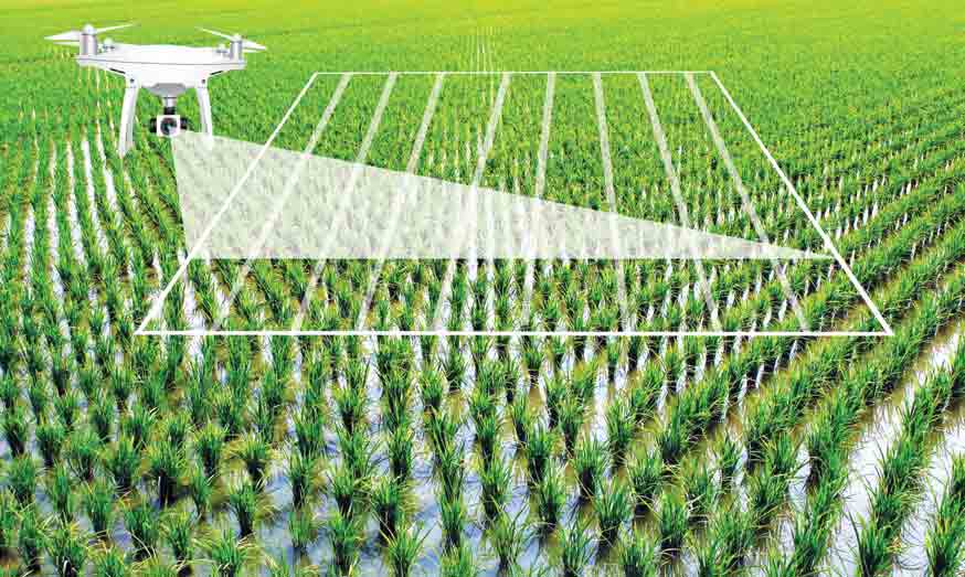 Chuyển đổi số trong nông nghiệp không thể theo phong trào- Ảnh 1.