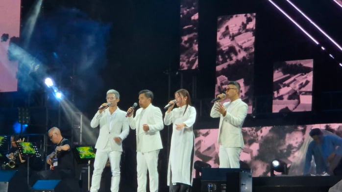 Đàm Vĩnh Hưng, Văn Mai Hương, Quang Dũng… hát vì miền Trung! - Ảnh 3.