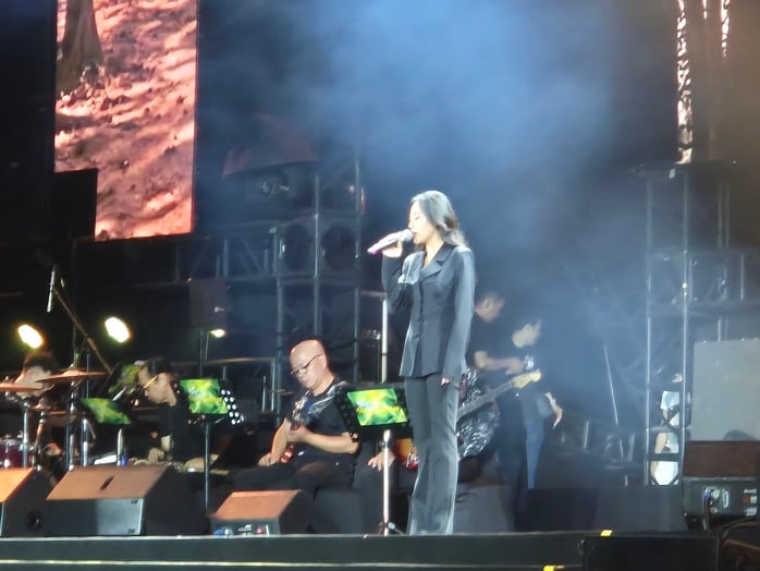 Đàm Vĩnh Hưng, Văn Mai Hương, Quang Dũng… hát vì miền Trung! - Ảnh 6.