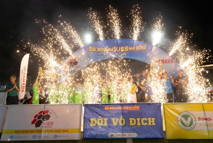 Đội bóng TH Nguyễn Văn Luông 