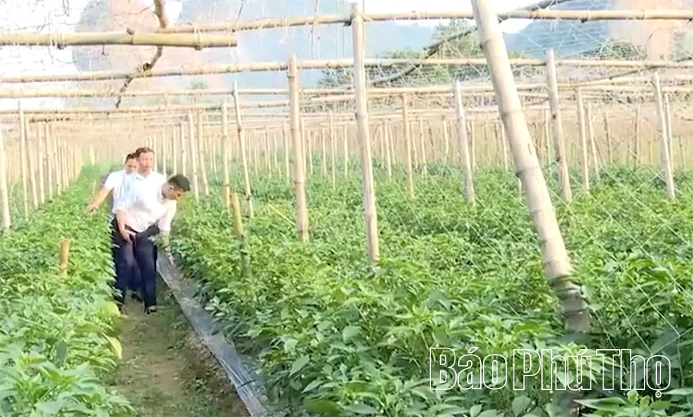 Sammankopplande plattform, skapar hållbara försörjningsmöjligheter