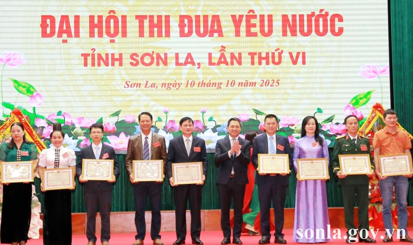 আমি তোমাকে বিশ্বাস করি।