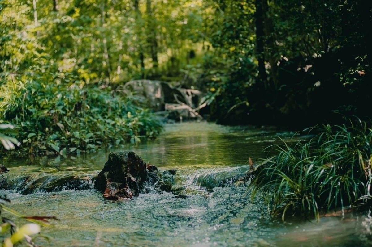 dòng nước ở suối Tiên Phú Quốc trong veo