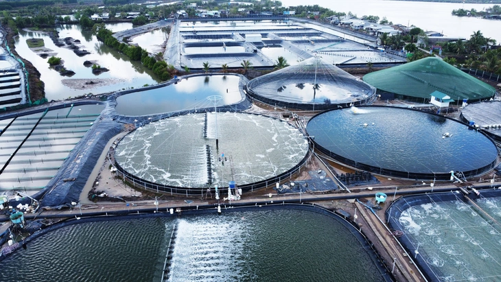 cực tăng trưởng - Ảnh 3.