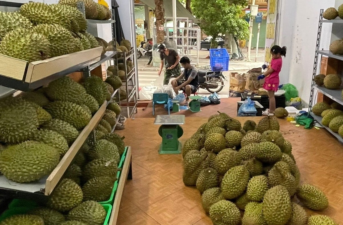 1 दिसंबर, 2025 को ड्यूरियन की आज की कीमत: निर्यात में तेज़ी से वृद्धि