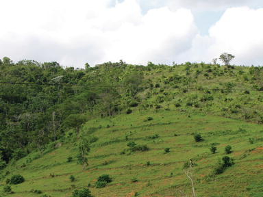 Giải pháp phục hồi độ phì và phát triển lâm nghiệp bền vững- Ảnh 2.