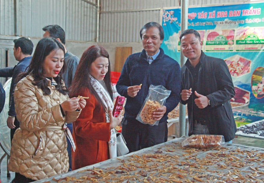 Cục Du lịch Quốc gia Việt Nam khảo sát xây dựng sản phẩm du lịch cộng đồng tại Điện Biên - Ảnh 3.