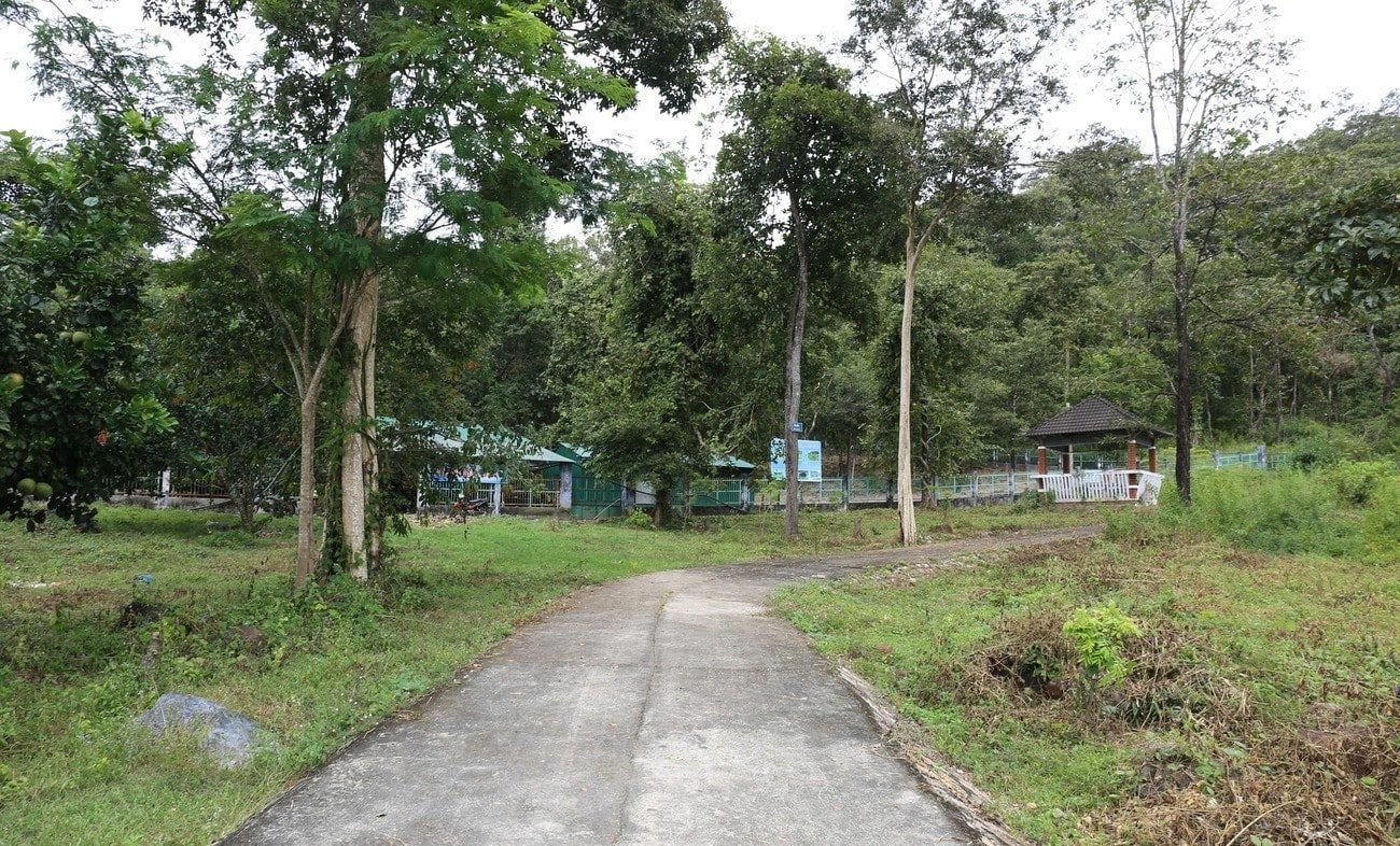 khám phá vườn quốc gia Phước Bình