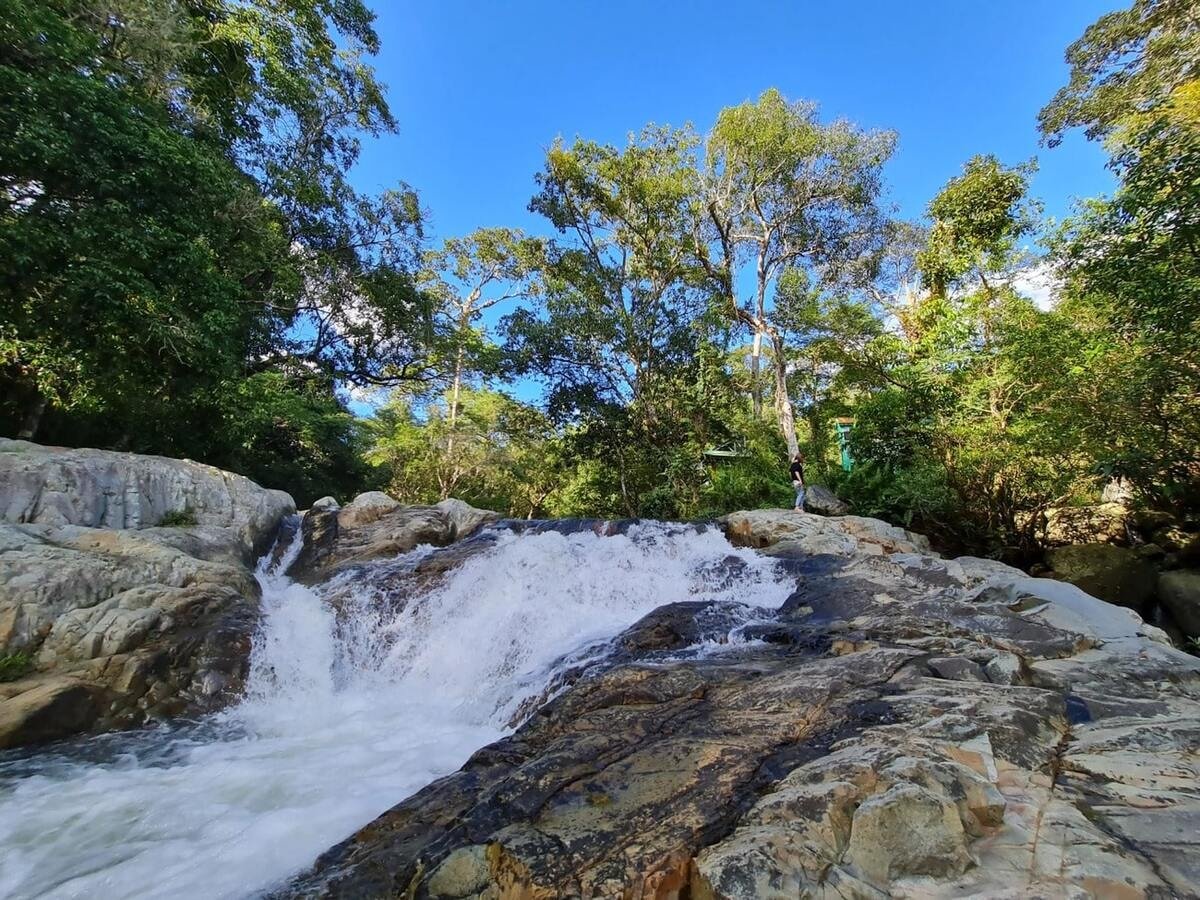 ទឹកថ្លាហូរកាត់ថ្មដែលគ្របដណ្ដប់ដោយស្លែក្នុងព្រៃ។