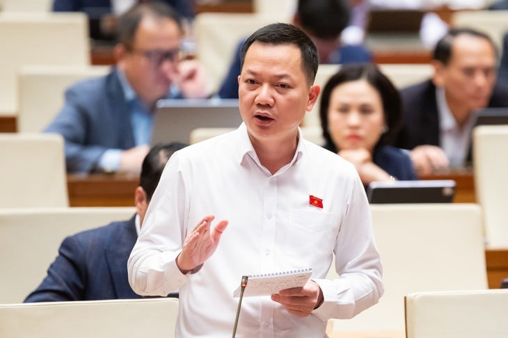 đất hiếm - Ảnh 1.