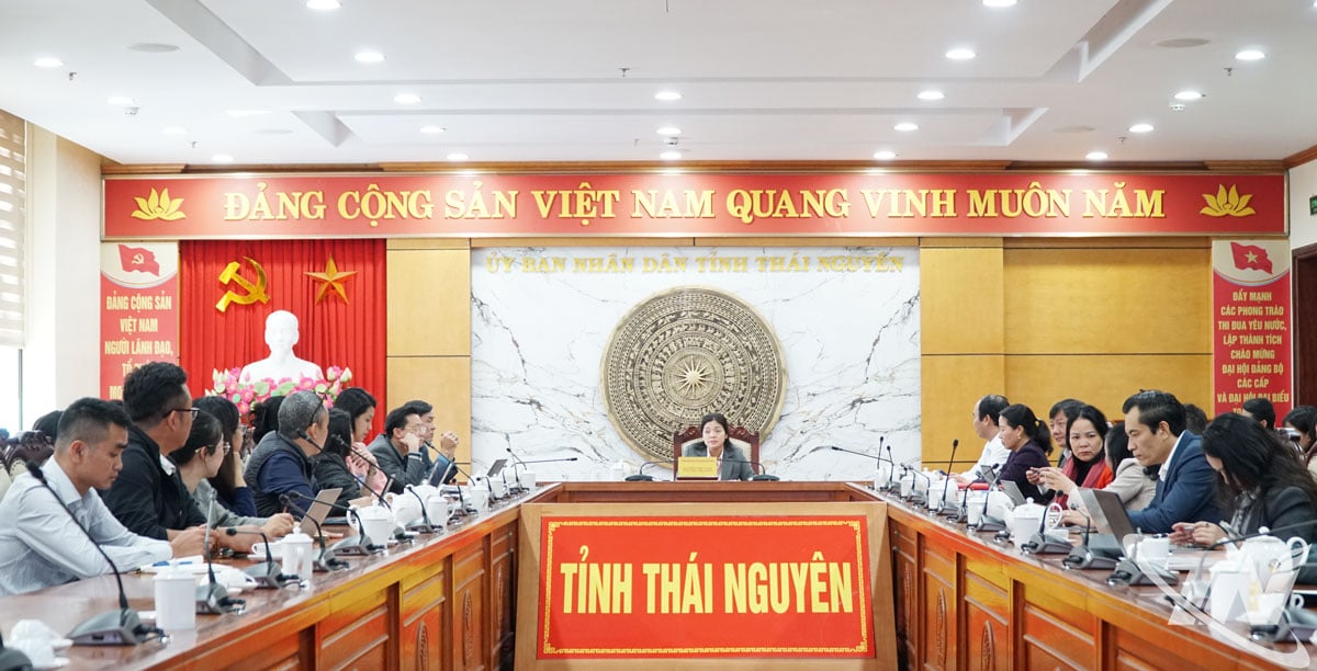 Kamerat Nguyen Thi Loan, nestleder i den provinsielle folkekomiteen, ledet møtet.