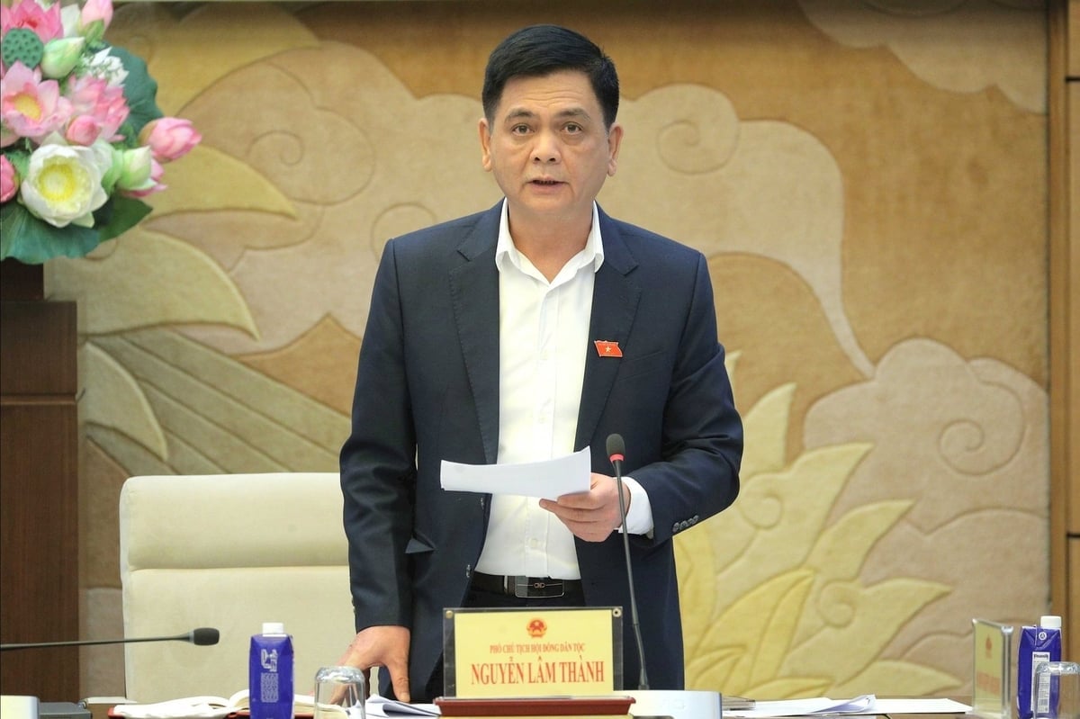 Phó Chủ tịch Hội đồng Dân tộc Nguyễn Lâm Thành phát biểu. Ảnh: Hồ Long.