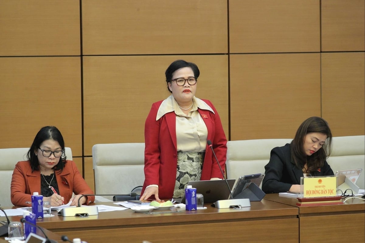 Các đại biểu tham dự phiên họp phát biểu. Ảnh: Hồ Long.