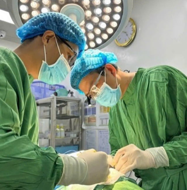 Siết chất lượng đào tạo ngành y: Chuẩn hóa thực hành và kiểm soát điều kiện mở ngành- Ảnh 1.