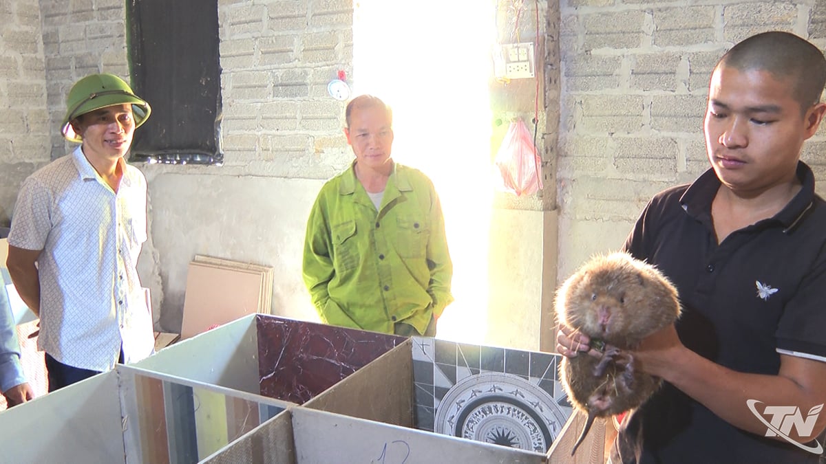 Skogvernet administrerer viltoppdrettsaktiviteter gjennom utstedelse av landbrukskoder.