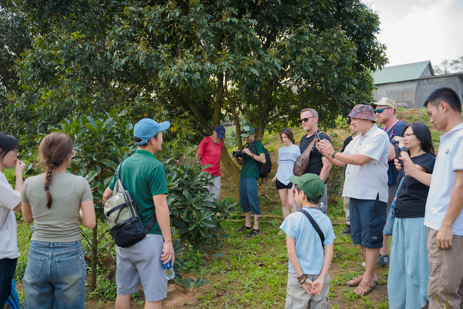 تور کشف قهوه خه سان گردشگران را جذب میکند - عکس: D.H