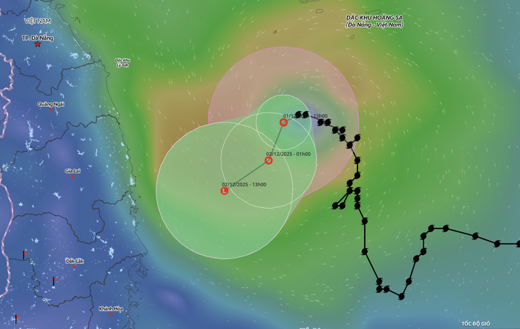 bão số 15 - Ảnh 1.