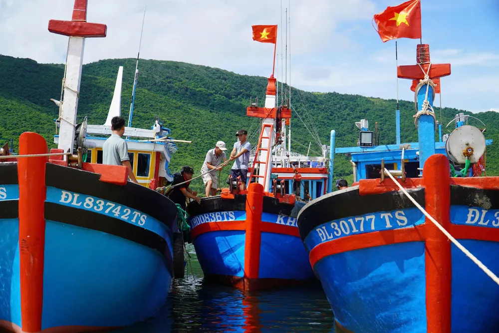 Bot di wilayah Khanh Hoa dibenarkan beroperasi semula.