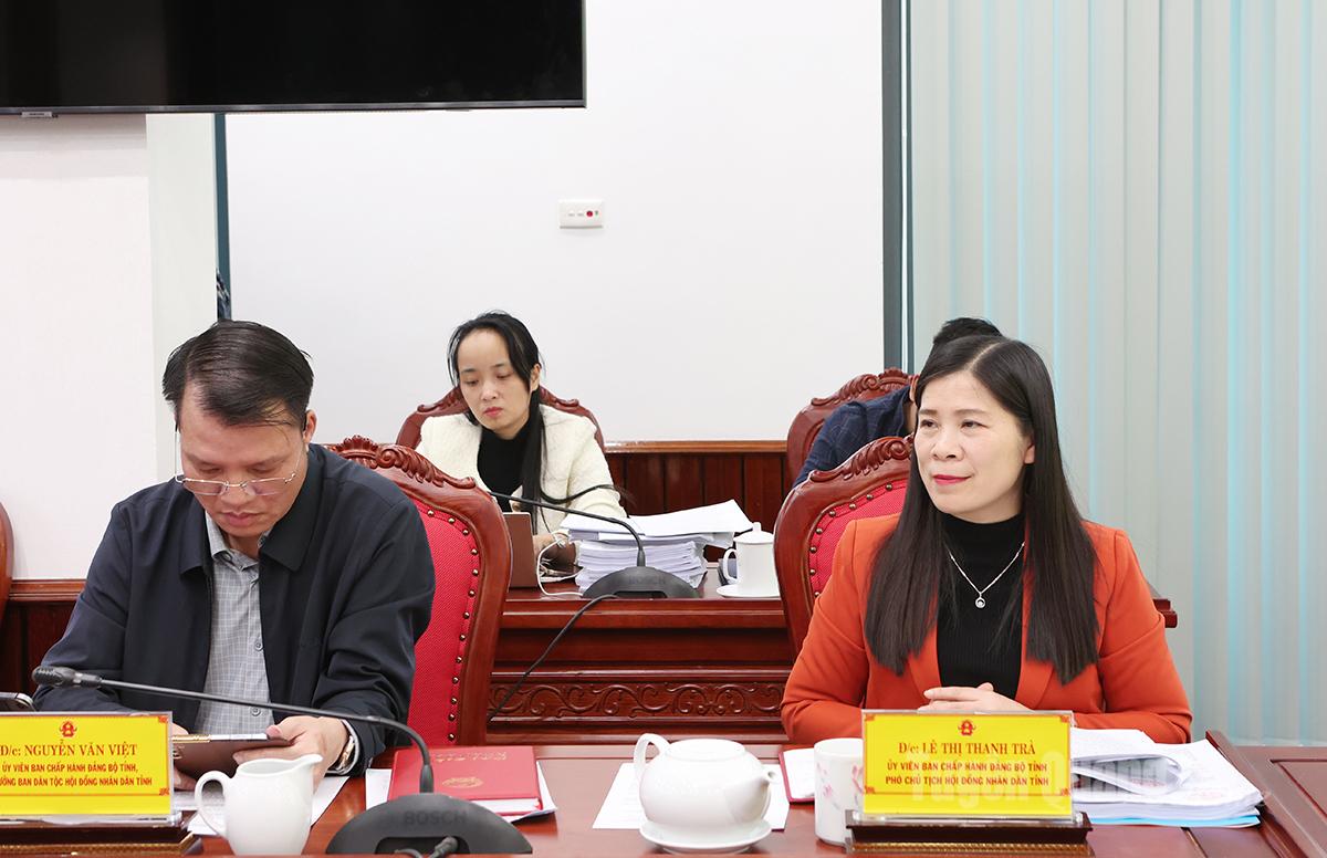 Kamrat Le Thi Thanh Tra, medlem av provinsens partikommitté och vice ordförande för provinsens folkråd, talade.
