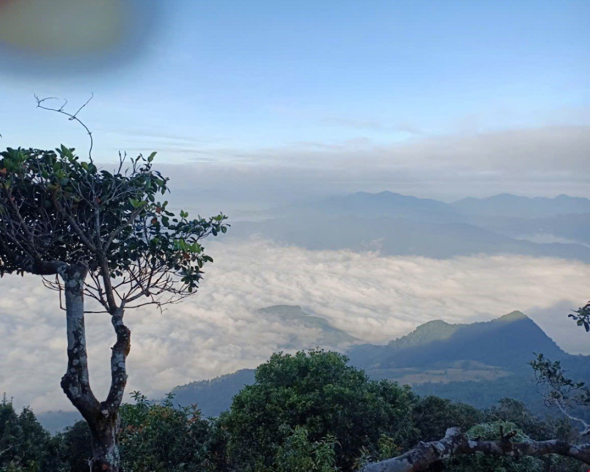Thanh Hóa: Đánh thức tiềm năng du lịch sinh thái rừng đặc dụng Pù Luông - Ảnh 5.